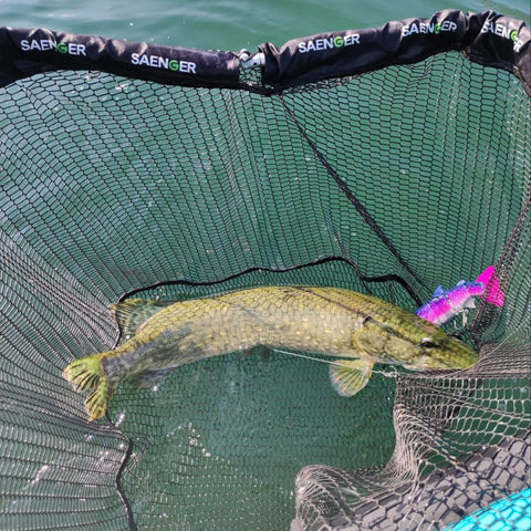 Swimbait da Luccio Bull Trout 2023