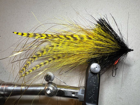 Streamer Big