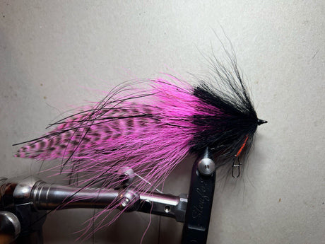 Streamer Big