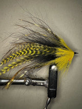 Streamer Big